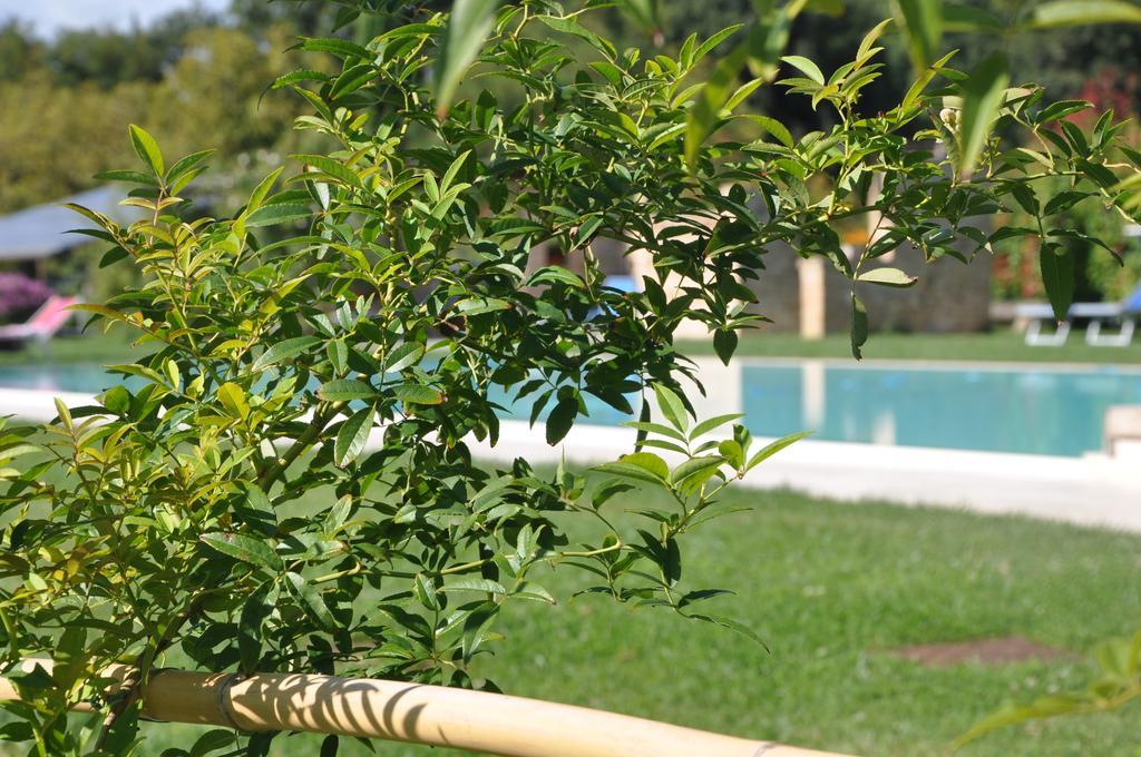 Ca' Matra Villa Lama  Bagian luar foto